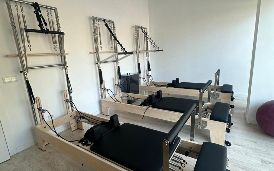 VIDA SANA FISIOTERAPIA